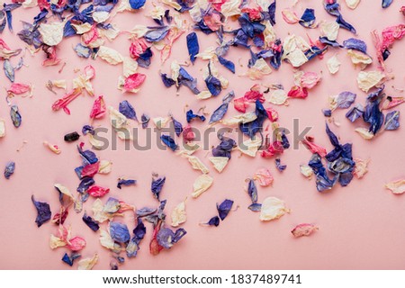 Image, Stock Photo Biodegradable confetti from real dried flowers