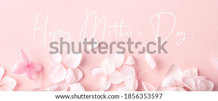 Similar – Image, Stock Photo Biodegradable confetti from real dried flowers