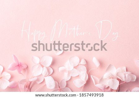 Similar – Image, Stock Photo Biodegradable confetti from real dried flowers