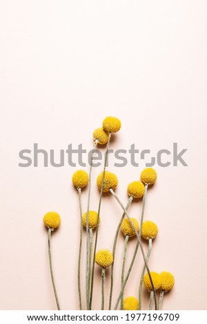 Shutterstock Puzzlepix