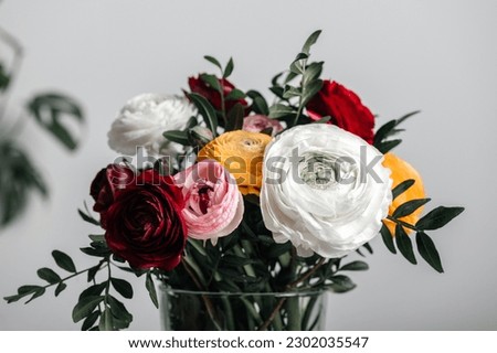 Similar – Image, Stock Photo Tender ranunculus flowers