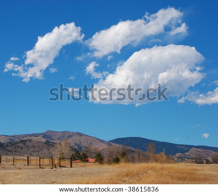 Peaceful scene on a warm day in winter in the foothills of the Rocky Mountains