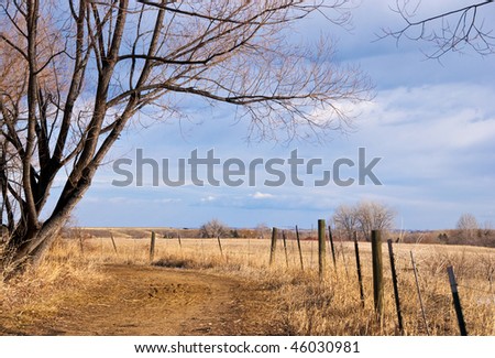 Path or tiny road leads forward along a bright field or pasture on the Colorado prairie as winter turns to spring