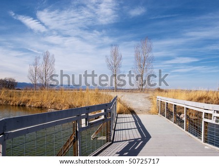 View of the Colorado prairie and distant mountains from a deck on a small lake, with bare winter trees and golden grasses