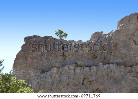 Lone tree stands atop a distant cliff top of white rock with a shadowed face.