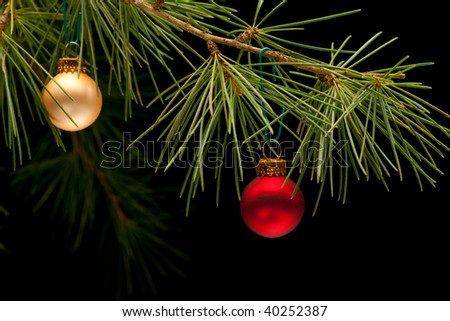 Red and golden matte bauble christmas ornaments on pine tree branch. Black background. Shallow focus on red ball.