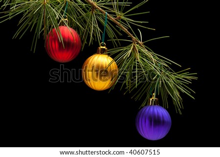 Red golden and purple matte bauble christmas ornaments on pine tree branch. Black background. Horizontal composition.