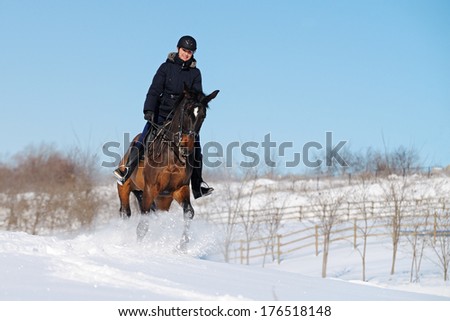 Horseback riding in winter field