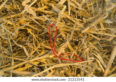 to find a needle in a haystack