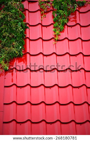 Wet Red Roof