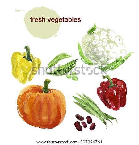 Watercolor illustration of fresh bright colored hand drawn vegetables on white background. Good for recipe book illustration, magazine or journal article.