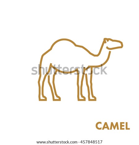 Line vector figure of camel. Vector outline African animal for web and design.