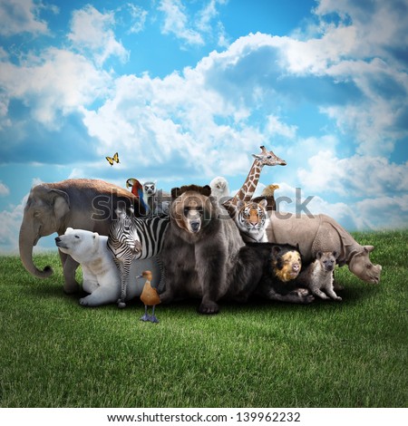 A group of animals are together on a nature background with text area. Animals range from an elephant, zebra, bear and rhino. Use it for a zoo or conservation concept.
