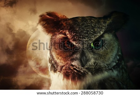 A portrait of a scary wild owl looking down with a moon and night sky in the background for a fear or mystery concept.