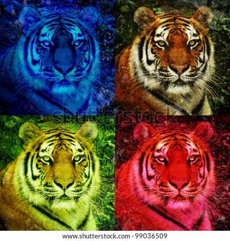 A closeup of a lion staring with open eyes. There are four colorful versions. There are bright neon blue and red colors. Use it for a pop art strength concept.