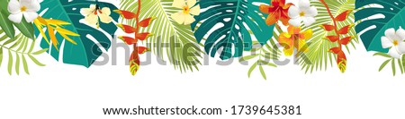 Summer Clip Art Borders Hawaiian Border Clipart Stunning Free Transparent Png Clipart Images Free Download