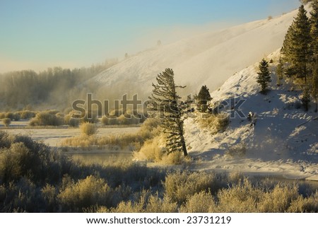 A winter snow scene with a tree by a river, blue sky and fog on a mountainside.
