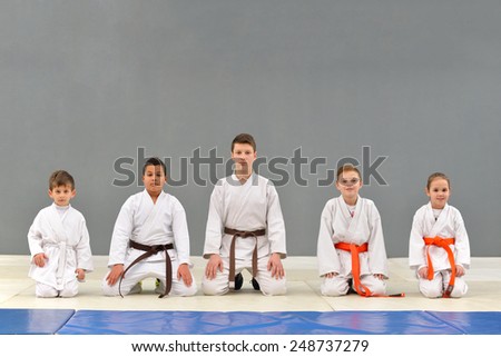 a group of young, successful and multi ethical karate show knowledge