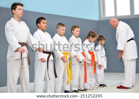 young, beautiful, successful multi ethical karate kids greeting karate master