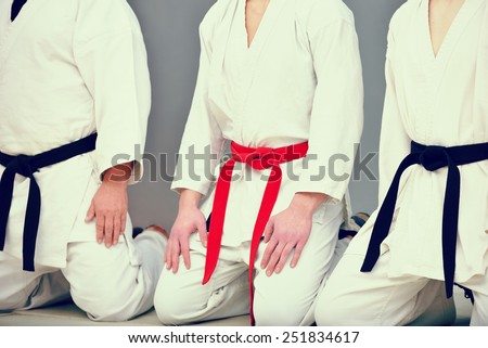 young, beautiful and successful karate man in karate position