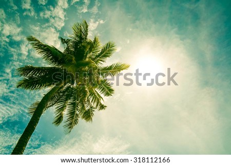 Vintage tone, Coconut tree on the sky with sun lens flare effects
