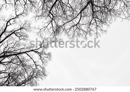 Similar – Image, Stock Photo black and white landscape with highway bridge over the river in Latvia. A moment before winter starts.