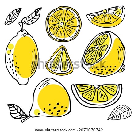 Lemon vector doodle elements with yellow shapes.Hand drawn outline of whole fruit, lemons, cut lemon, lemon leaves. Black line art on white.