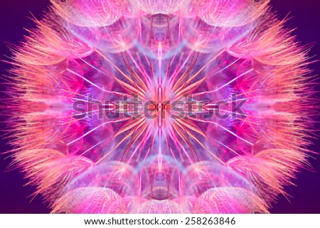 Colorful pastel background - Vivid color abstract dandelion flower - extreme closeup with soft focus, beautiful nature details - extremely high resolution symmetrical composition
