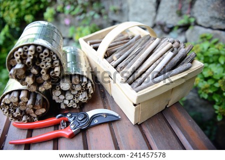 utensil for building an insect shelter for wild bees on a bench. garden scissor, basket with wooden sticks.