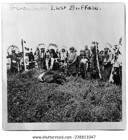 Geronimo\'s last buffalo. Geronimo standing over dead buffalo, with Native men and boys in ceremonial dress standing behind him, Fort Sill, Oklahoma, ca.1906.