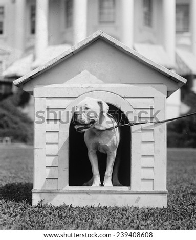 Mrs. Harding\'s dog O\'Boy in a doghouse on the White House lawn. Aug 11, 1921