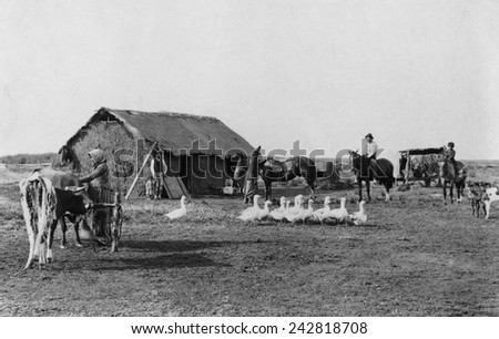 Immigrant\'s home of primitive construction in rural Argentina, with men, women, and children in front of house, with horses, cattle, and geese.