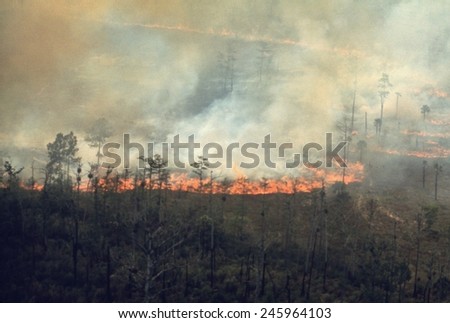 Burning fields in the Florida Everglades sends smoke over the highly populated east coast of Florida. Ca. 1973-75.