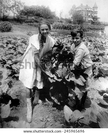 School children with a huge head of cabbage raised in the War Garden of Public School 88, in Queens, New York City. The garden covers one and a half acres. WWI. Ca. 1918.