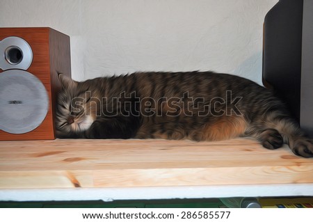 A big cat sleeping between a television and a tape-recorder on the wood table