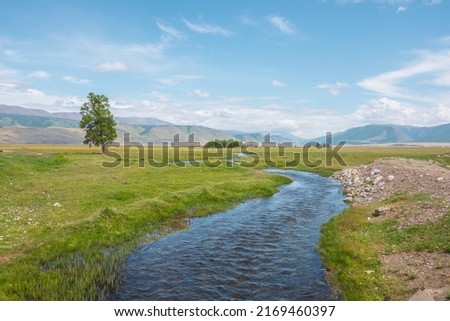 Scenic green landscape with mountain creek in sunlit grassy steppe among mountains under clouds in blue sky at changeable weather. Colorful scenery with mountain brook with clear water in bright sun. Foto d'archivio © 