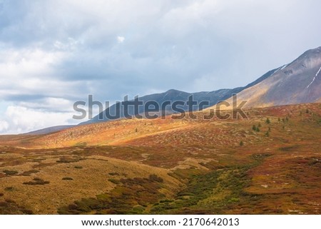 Motley autumn landscape with sunlit hills and mountain range silhouette under dramatic cloudy sky. Vivid autumn colors in mountains. Sunlight on multicolor hills and rainy clouds in changeable weather Foto d'archivio © 