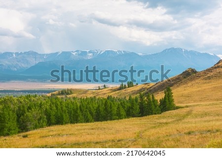 Dramatic alpine view from forest hills to high snow mountain range in sunlight during rain in changeable weather. Green forest and sunlit steppe against large snowy mountains under cloudy sky in rain. Foto d'archivio © 
