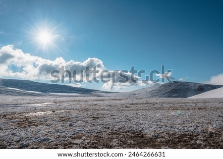 Image, Stock Photo Frozen grass on sunny day in winter