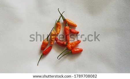 Shutterstock Puzzlepix