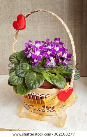 A bouquet of violets in a basket with hearts and gold ribbon on a white background \
on a wooden table