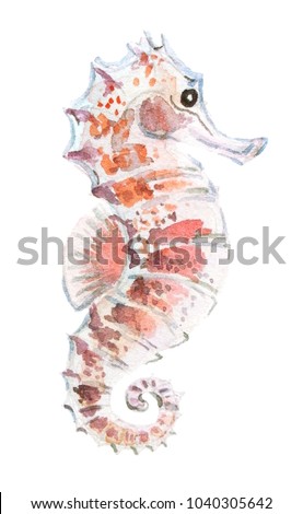 Watercolor cute seahorse illustration