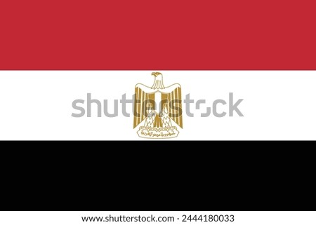 Egypt flag. Standard color. Standard size. A rectangular flag. Icon design. Computer illustration. Digital illustration. Vector illustration.