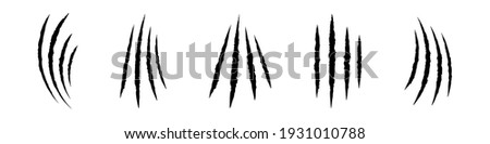 Animals claw scratches icons set. Claw scratches collection. Realistic illustration with black animals claw set. Grange scratches. Set of claws. Wild animals concept. Vector graphic. EPS 10 Stock foto © 