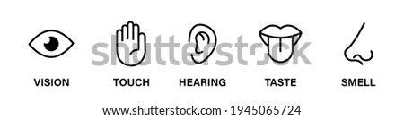 Five human senses flat vector icon set. Vision touch hearing taste smell senses collection. Human fillings icons. Human nervous system senses. Eye hand ear mouth nose icons set. Line icons. Vector EPS Foto d'archivio © 