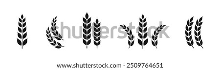 Ears of wheat symbols. Wheat silhouettes. Wheat vector icons