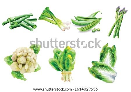 Similar – Image, Stock Photo Set of peas placed orderly on salmon colored background