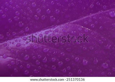 Purple texture drop