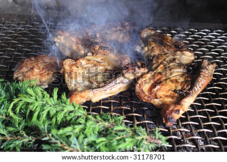 Pieces of tasty chicken on the grill on family barbecue