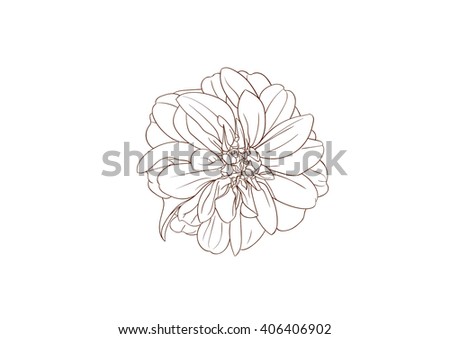 Dahlia Hand Drawing Flower Stock Vector Illustration 406406902